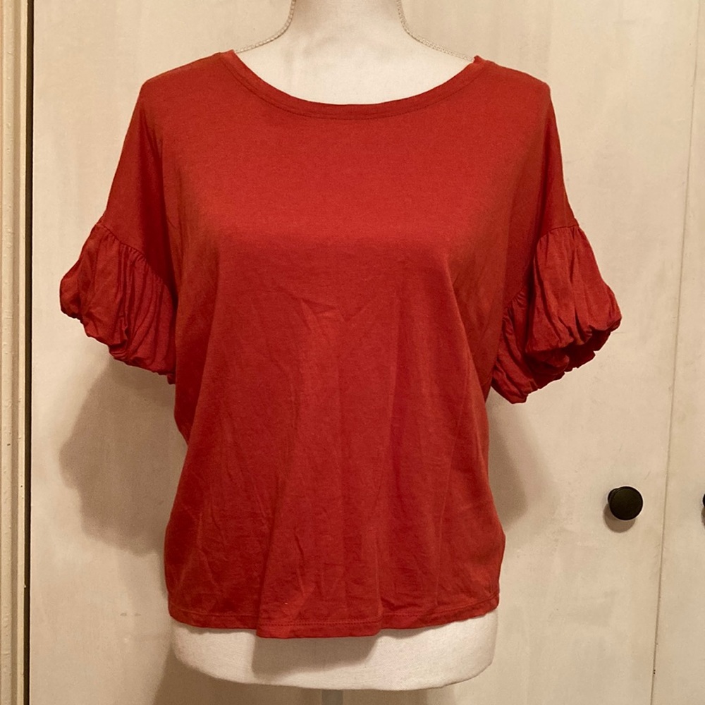 5 for $20 MIX N MATCH Puff Sleeve Rust Tee